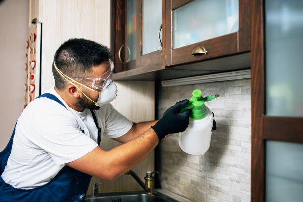 Best Pest Inspection Near Me  in Tignall, GA
