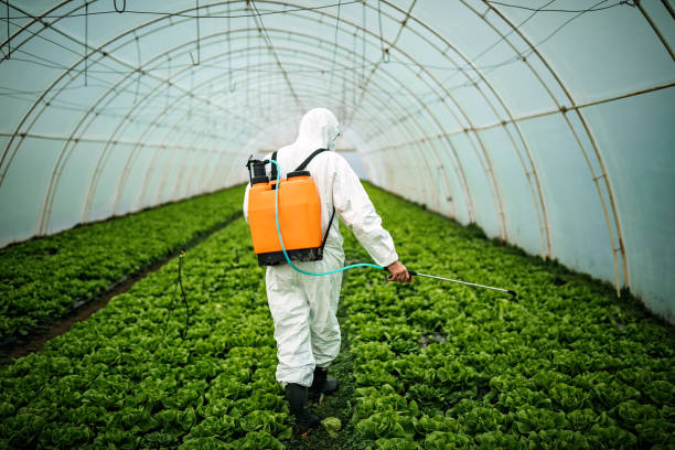Best Commercial Pest Control Services  in Tignall, GA