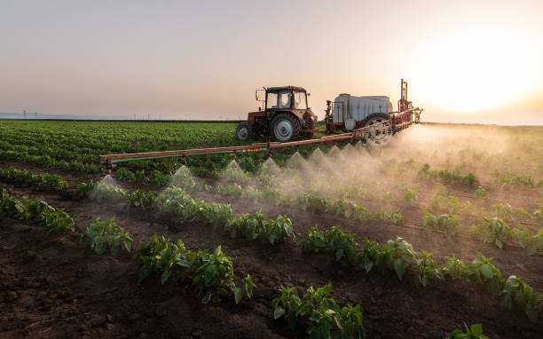 Best Commercial Pest Control Services  in Tignall, GA