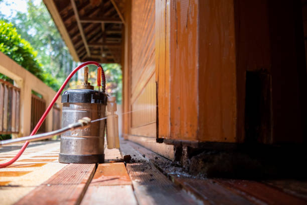 Best Wasp Removal Services  in Tignall, GA