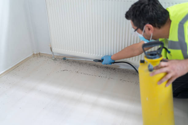 Best Flea Control Services  in Tignall, GA