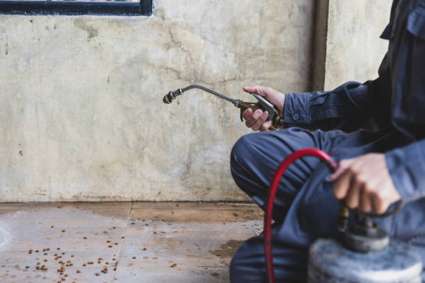 Best Residential Pest Control  in Tignall, GA