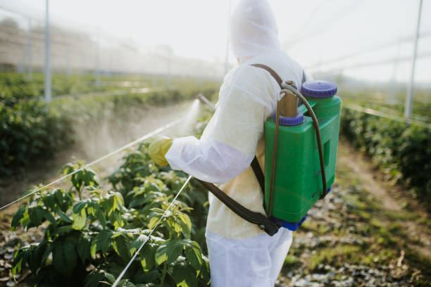  Tignall, GA Pest Control Pros